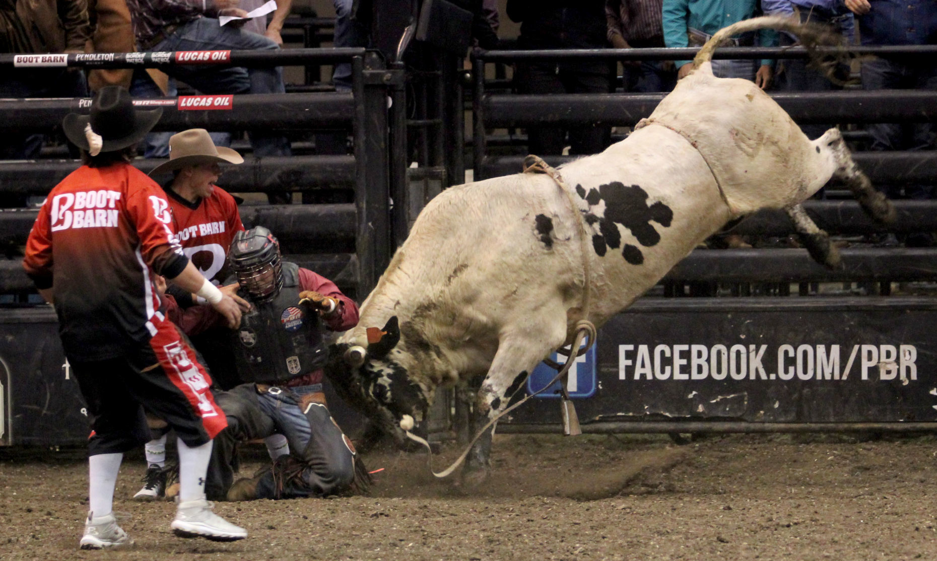 PBR 1A.jpg